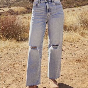 NWT VICI Icon High Rise Straight